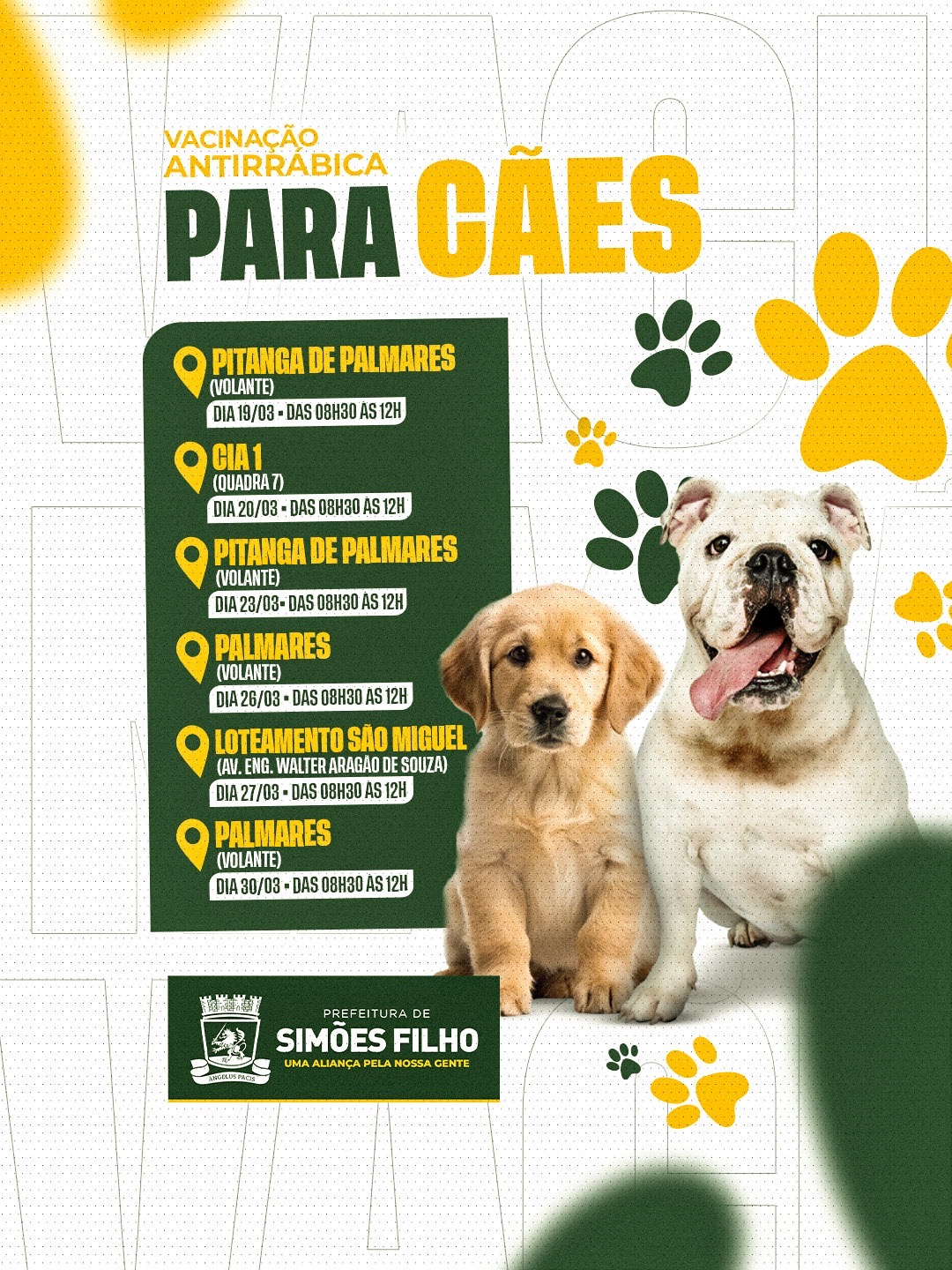 Simões Filho: Prefeitura segue com vacinação antirrábica de forma descentralizada; Confira cronograma